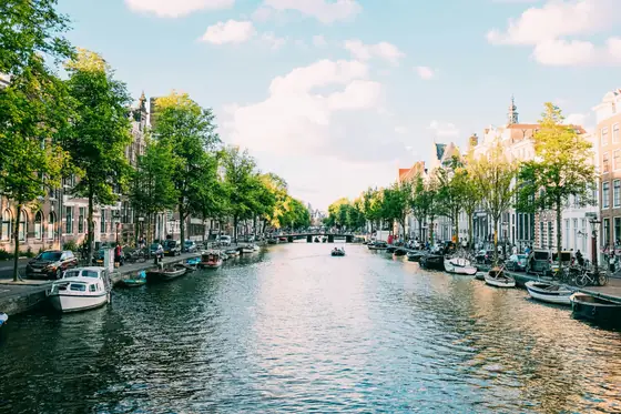 Boats moored along a tree-lined canal in Amsterdam, Netherlands